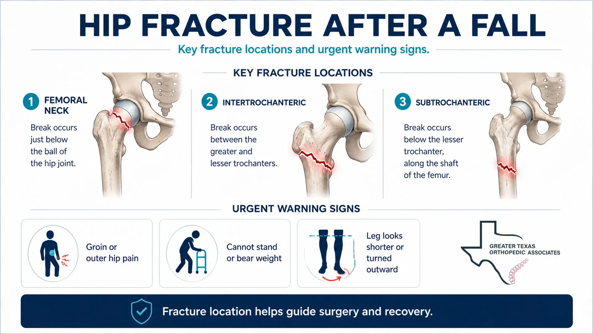 Infographic showing hip fracture types, broken hip symptoms, and urgent warning signs