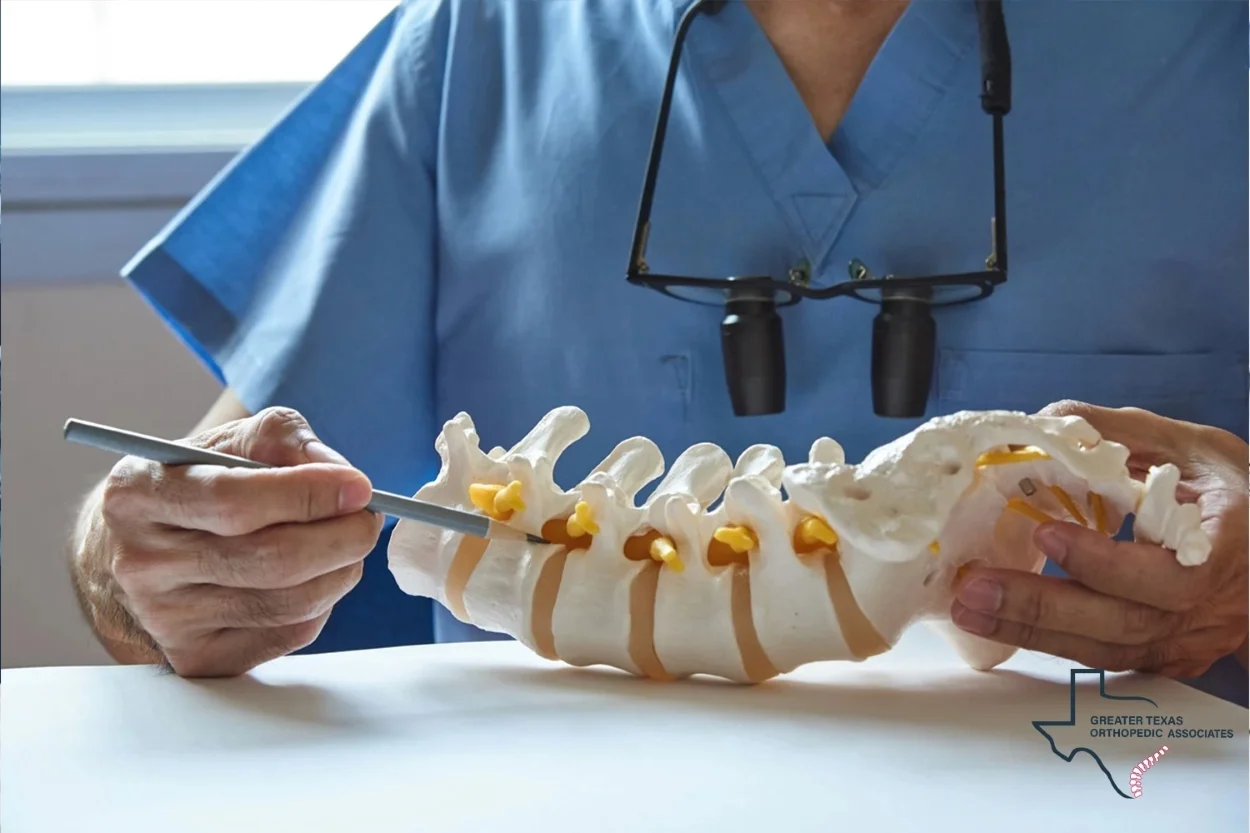 spine