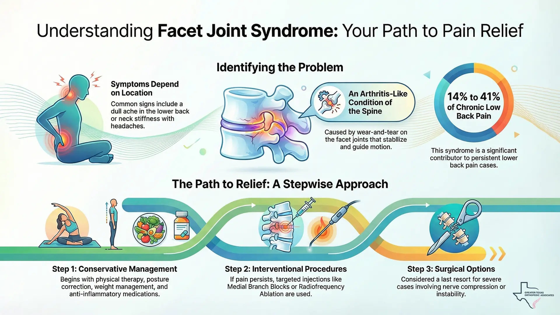 Understanding the Facet Joints